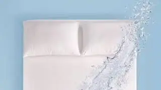 mattress protector queen with zipper closure for a comfortable secure fit on mattresses upto 12