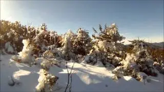 Hiking Chocorua