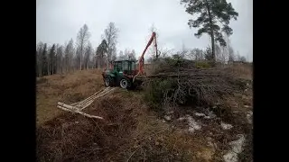 Cleaning up a forest area.