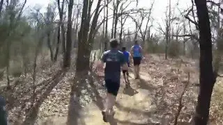 Trail Madness 2016 8k