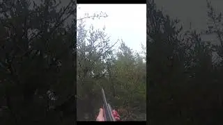 Shooting a Grouse at POINT BLANK!