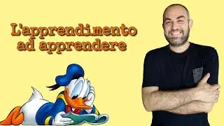 Apprendimento ad apprendere e transfert