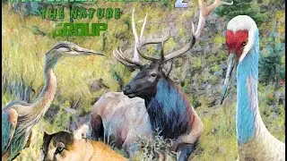Wild British Columbia 2