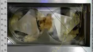 MKE Torque Rheometer / BIM150 10sec animation