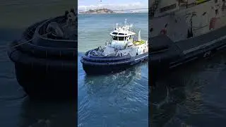 The operation of a rope boat to tow a Cruise vessel at sea