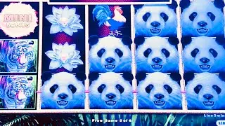 THREE DRAGON LINK MACHINES WITH NICE WINS #slotman #casino #dragonlink 