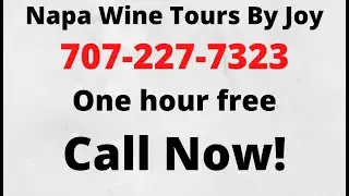 Wine Tour Drivers For Wine Tasting Napa Sonoma Napa -  Event Manager In Napa? ★★★★★ Review