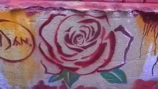 Rose Graffiti