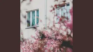 Błyszczące oczy