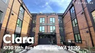 Clara Apartments | Seattle U District | Tripalink