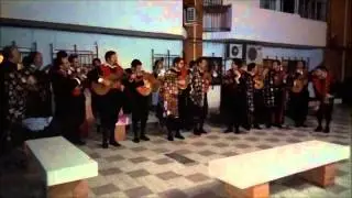 La morena de mi copla - Tuna Derecho Córdoba