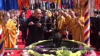 International Buddhist Day, the birth anniversary of Lord Buddha（April 8, 2018）Nenbutsushu