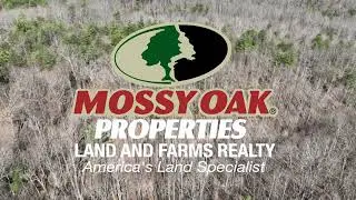 41.18 acres of Recreational Land for Sale in Patrick County VA!