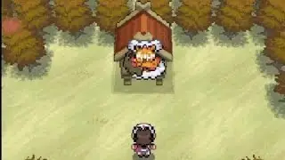 Pokemon White Part 43 The Abundant Shrine