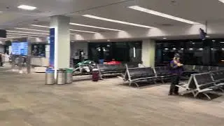 F gates at San Francisco airport 