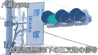【八潮市浮塚】首都高速高架下の三叉路の信号 @浮塚