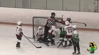 Hockey dirty grizzly / Грязный Гризли
