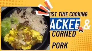 1st Time Cooking: Ackee and Corned Pork😋| NixxMas (VlogMas) Day 9✨