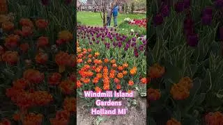 Very first visit to Windmill Island!