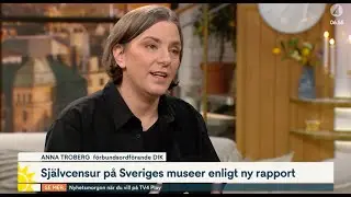 Om facket DIK:s rapport 