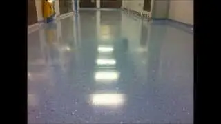 Vinyl Floor Cleaning Stripping Sealing Buffing Maintenance Surrey