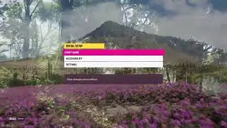 Forza Horizon 5 PC Settings & Controls