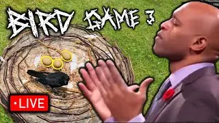 🔴BIRD GAME 3 (BIRDS OF WAR) PLAYTEST (PART 2) LIVE🔴