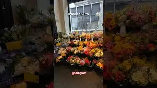 Samsung Galaxy S24 Ultra vs iPhone 15 Pro max Ultimate HDR camera Battle📱🔥🥶💥 #shorts