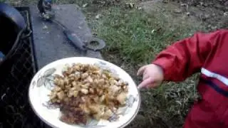 Jack and Fish 'n Brewis