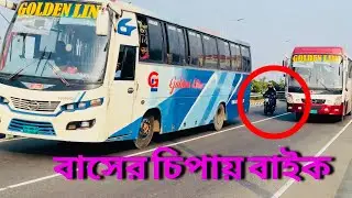 গোল্ডেন লাইনের চিপায় বাইক | Golden Line Vs bike #bus #viralvideo