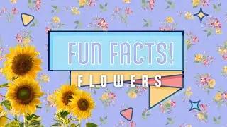 Fun Facts!  Flowers