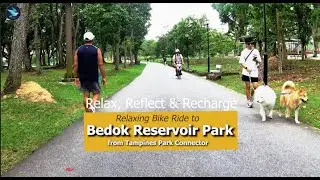 Relaxing Bike Ride to Bedok Reservoir Park via Tampines Park Connector