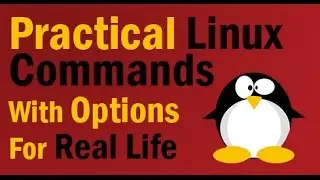 Практические команды Linux для реальной жизни