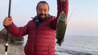 Ayvalık-Badavut Sahili Balık Avı