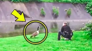 This Mama Goose Cried for Help and Got Two Cops&rsquo; Attention &mdash; Wait Till You See Why