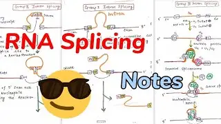 RNA Splicing || Group 1,2,3 Introns splicing||
