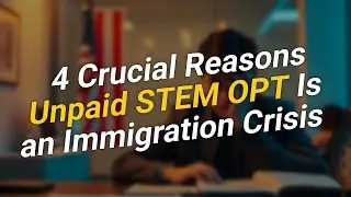 4 веские причины, почему неоплачиваемая программа STEM OPT &mdash; это иммиграционный кризис 🚨
