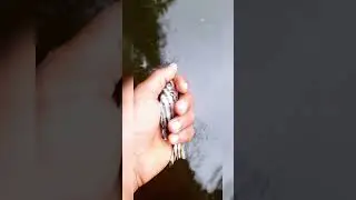ocean target fish 🐟🐠🐋 subscribe please ..