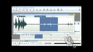 Analyze Your EVP W/Free Software! (Tutorial)