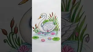 #how to draw swan in the pond #swan drawing #hans chitran #swan art#artclass #sketchart #shortvideo