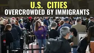2025&rsquo;s Most Crowded U.S. Cities: The Immigrant Boom