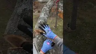 Wiggly Limb Walk