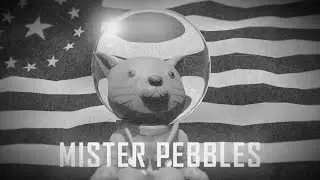 Mister Pebbles [A Fallout Animation]