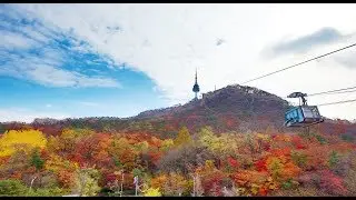 seoul metropolitan city