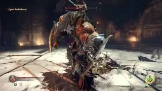 Lords of the Fallen - Champion fight
