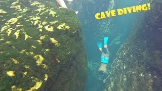 Wekiwa Springs State Park| Amazing CAVES in the SPRING!