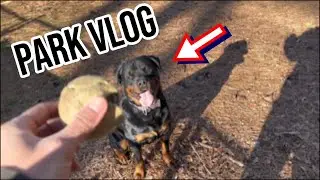 A Day in the Life with My Dog Hercules!