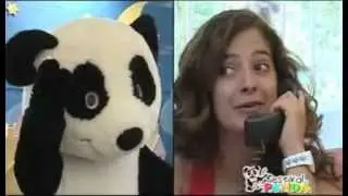 Festival Panda 2008 - Conferência Imprensa