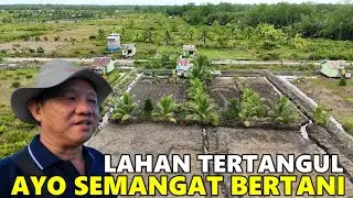 HARAPAN BESAR PAK ASE UNTUK PETANI TRANSMIGRASI SP10 TANJUNG BUKA SETELAH PENANGGULAN LAHAN MEREKA