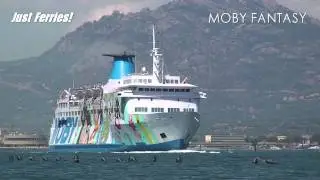 MOBY FANTASY